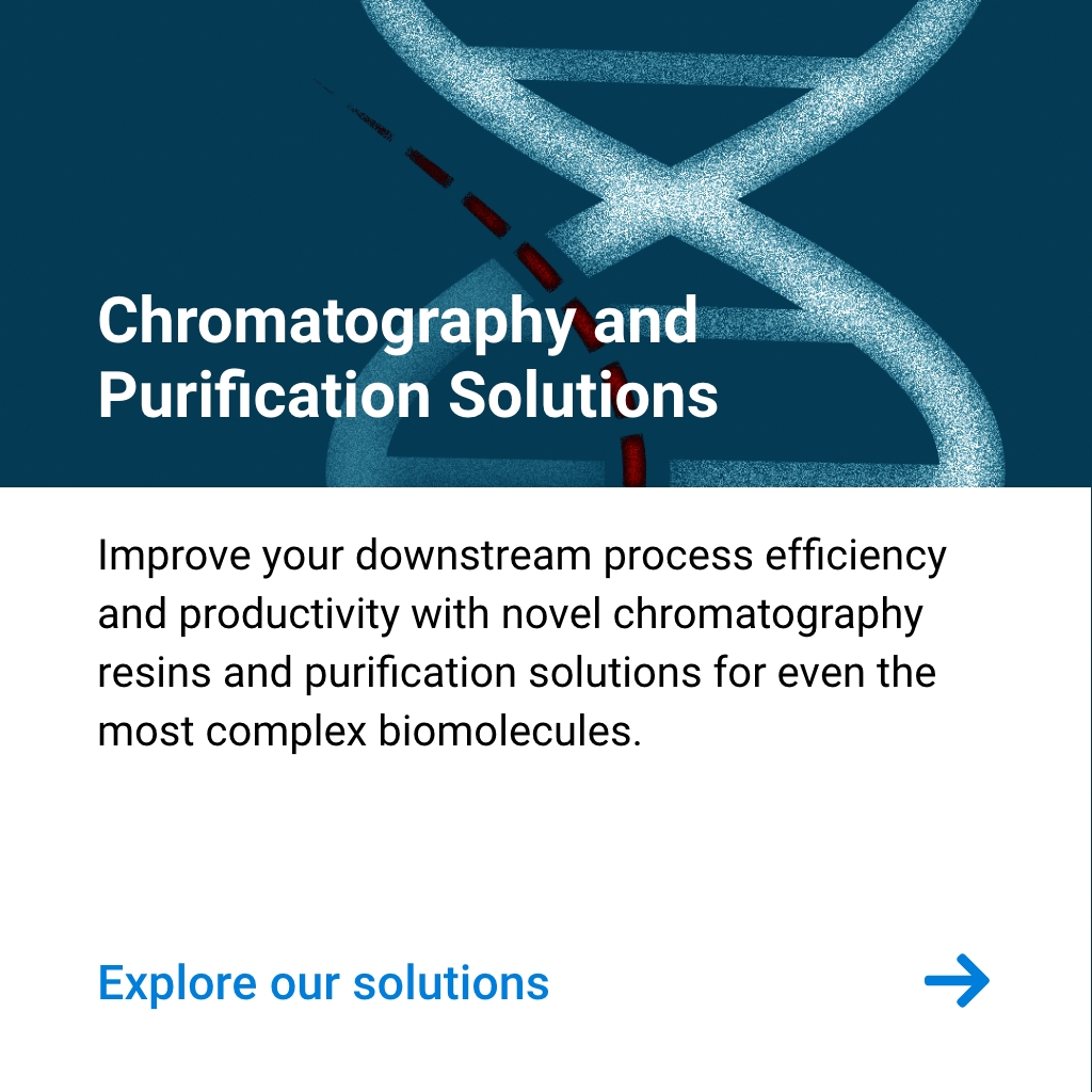 Chromatography and Purification Solutions
