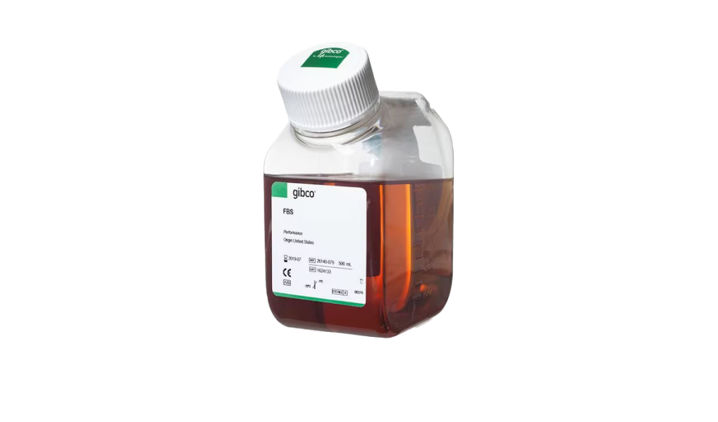 Fetal Bovine Serum, qualified, Brazil.